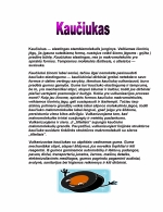 www.speros.lt